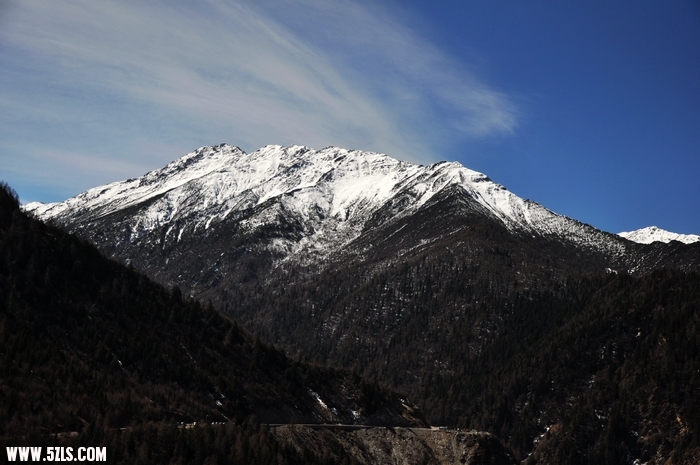 DSC_0354-1.jpg