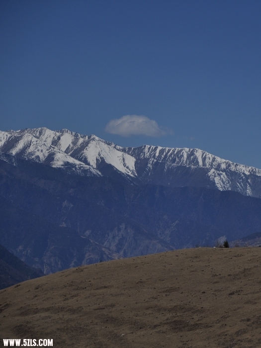 DSC_0378-1.jpg