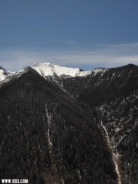 DSC_0383-1.jpg