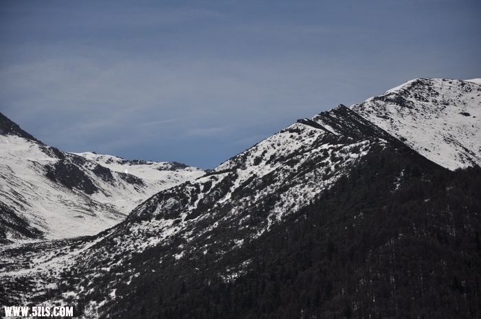 DSC_0384-1.jpg