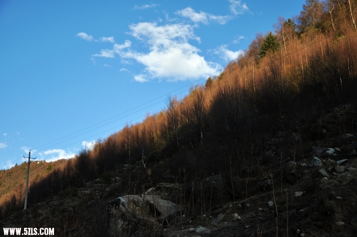 DSC_0473-1.jpg