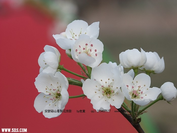 DSCF9472.JPG