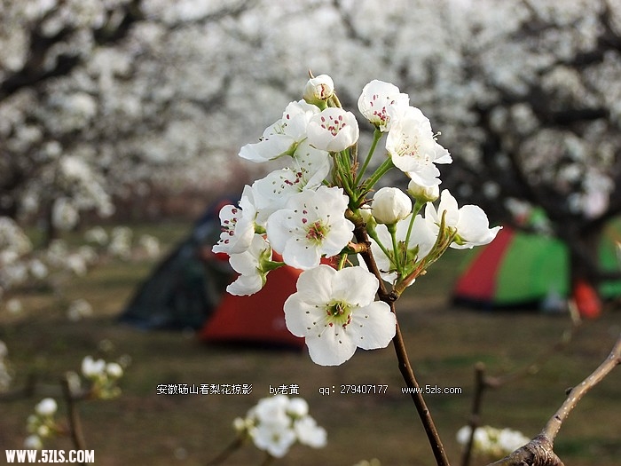 DSCF9539.JPG