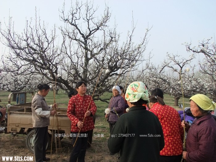 DSCF9571.JPG
