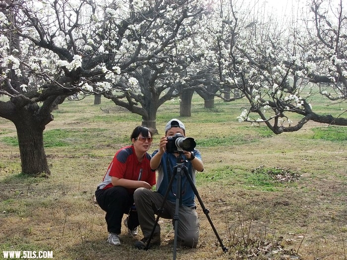 DSCF9613.JPG
