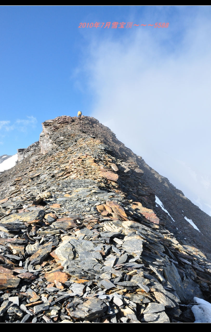 DSC_0205.JPG