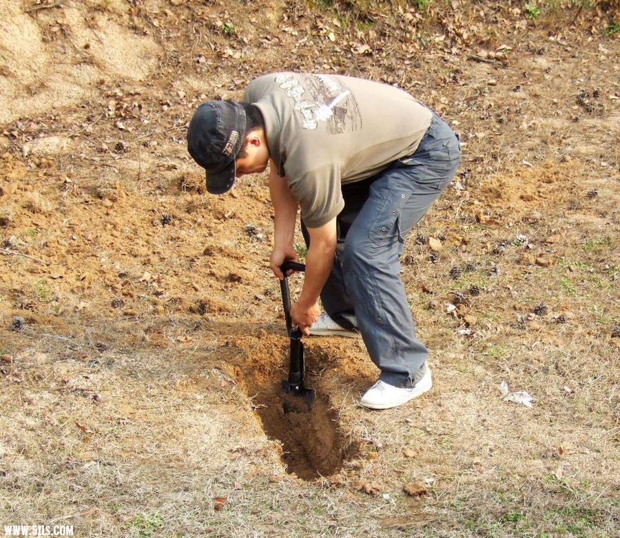 DSCF7386.JPG