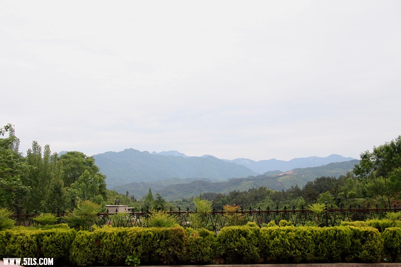 IMG_5105_副本.jpg