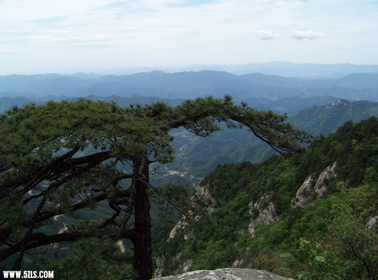 2011年0514D大别山黄柏山九峰尖 (25).jpg