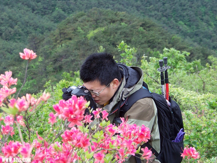 2011年0514F黄柏山九峰尖穿越 (12)杜鹃花.jpg