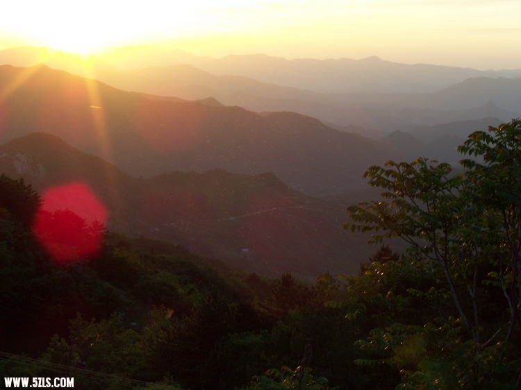 20110514JưɽĻƻ (15).jpg