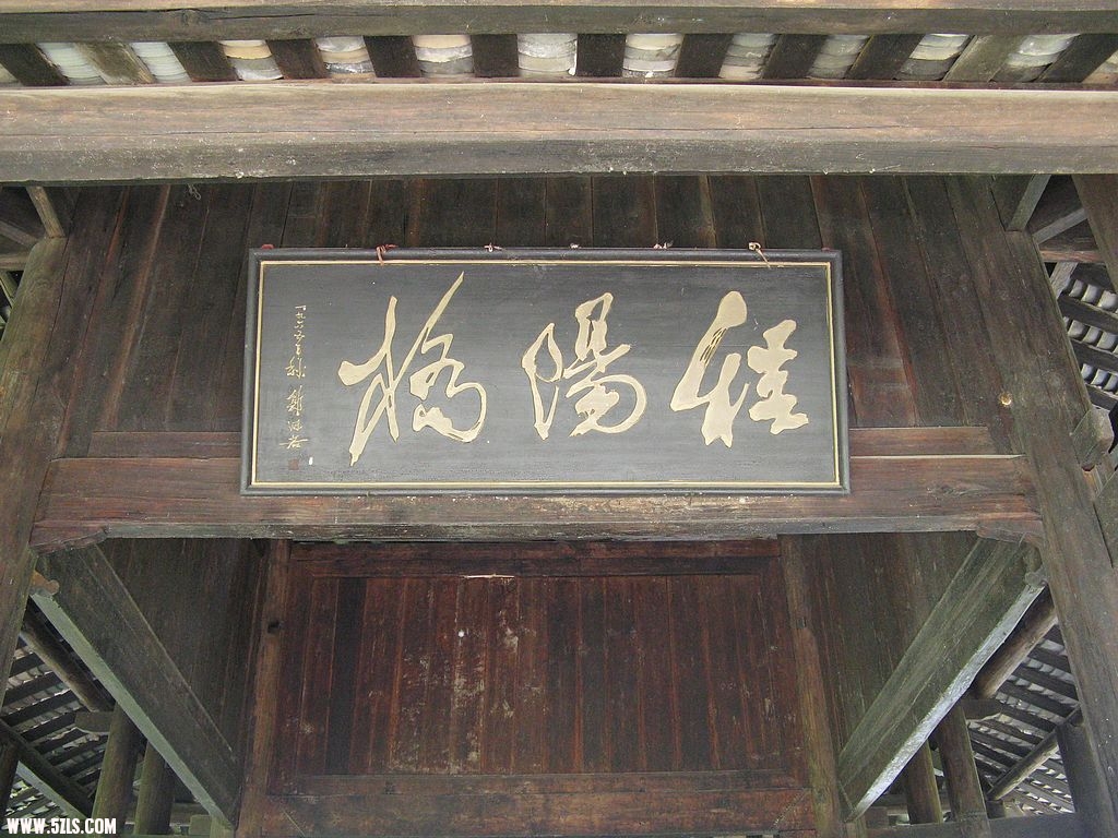 nEO_IMG_IMG_1982.jpg