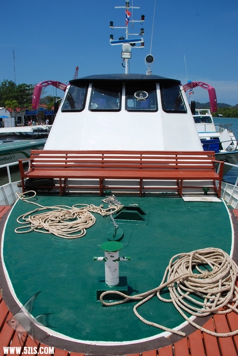 11.jpg