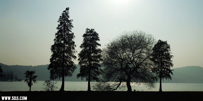 2DSCF3538.jpg
