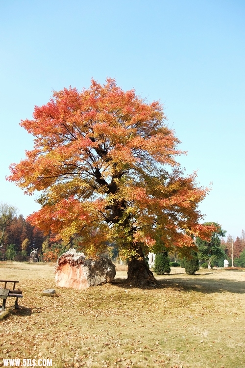 DSCF3496.JPG