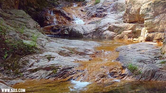 p5280119_.jpg