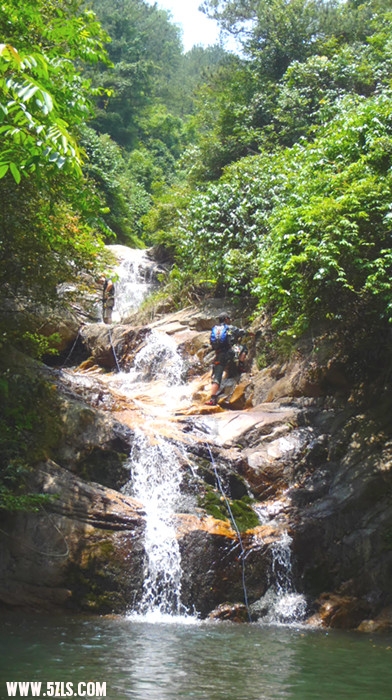 p5290221_.jpg