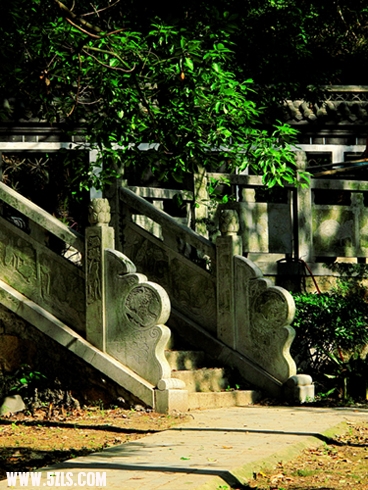 禅悟之道