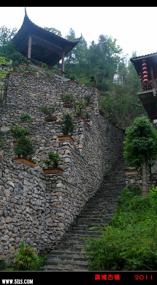 P1130001_.jpg