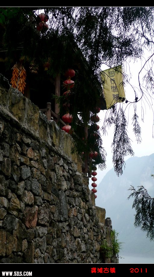 P1130009_.jpg