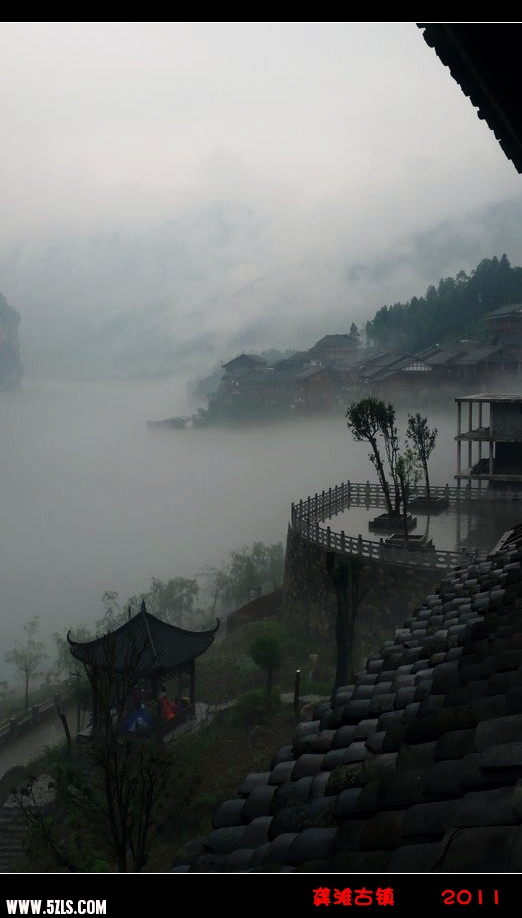 p1130076_.jpg
