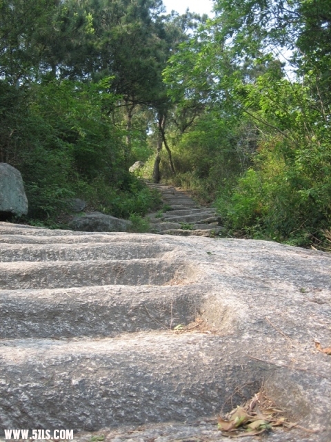 20011 020.jpg