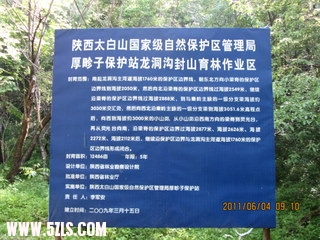 保护