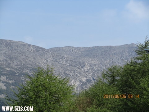 11-06-4-6 097.jpg