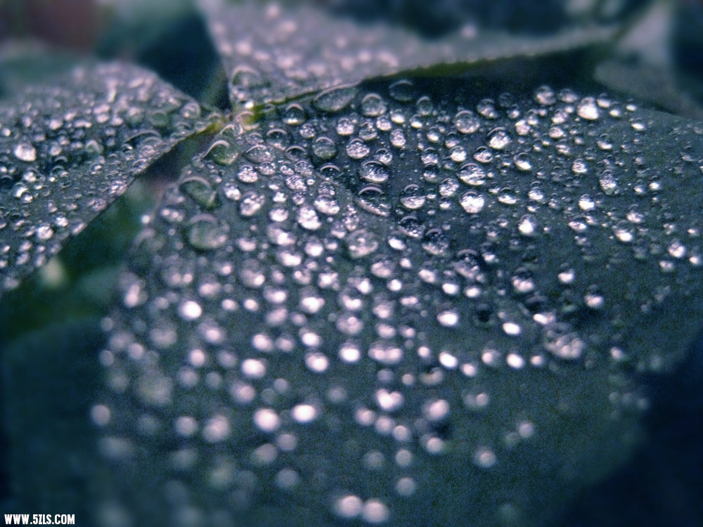 20100730000319180.jpg