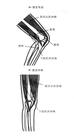 u=1593761253,1988981621&fm=0&gp=0.jpg