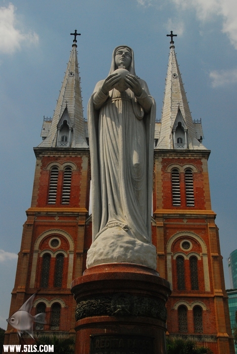 02081356.jpg
