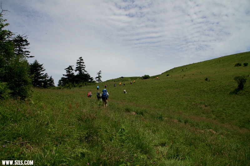 IMG_7838_.jpg