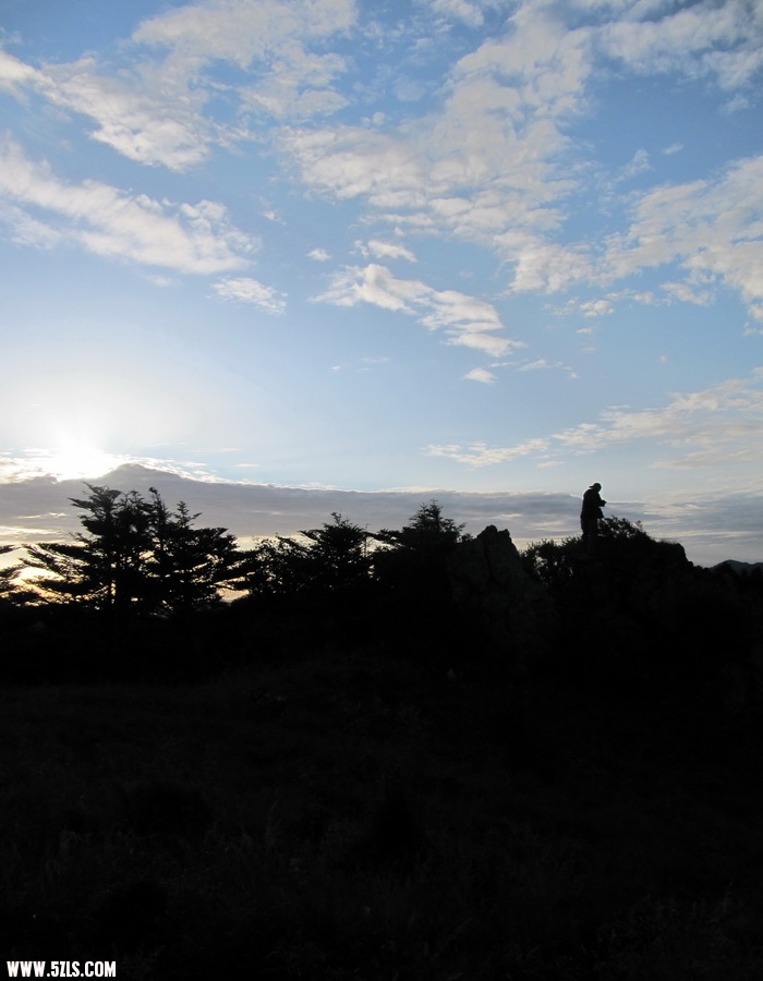 IMG_5646.jpg