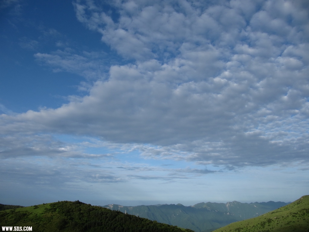 IMG_5665.jpg