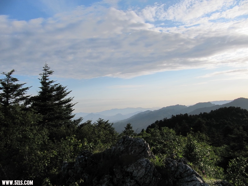 IMG_5654.jpg