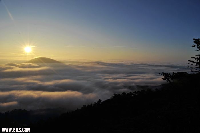 nEO_IMG__DSC0557.jpg