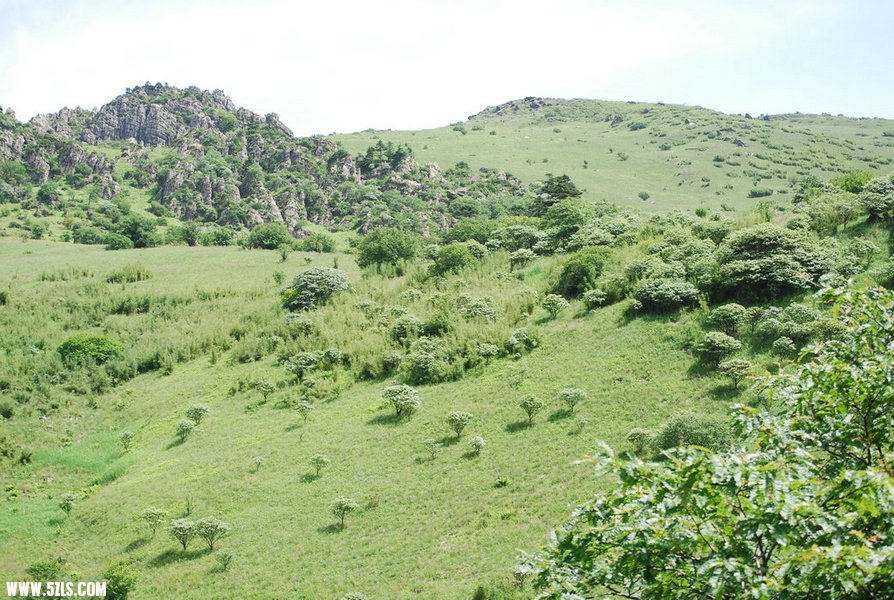 DSC_0505.JPG