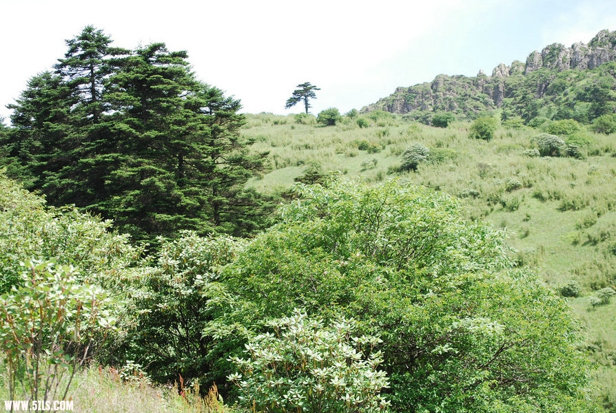 DSC_0506.JPG