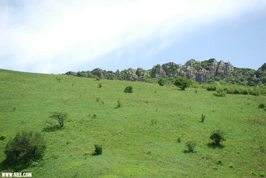 DSC_0541.JPG