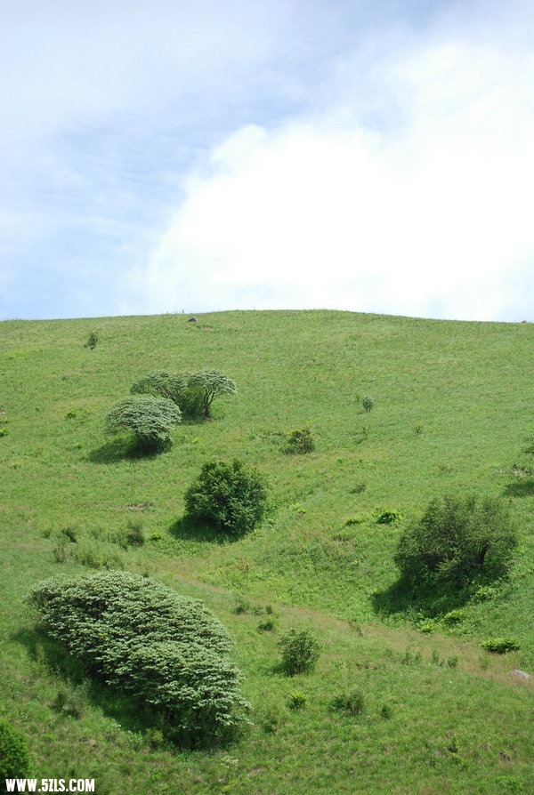 DSC_0540.JPG