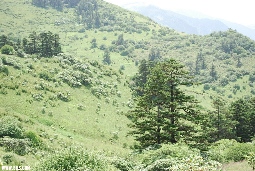 DSC_0546.JPG