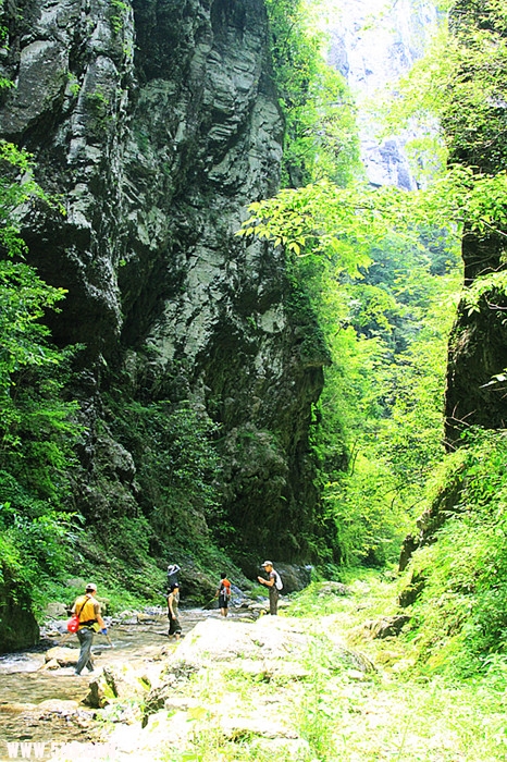 img_0575_副本.jpg