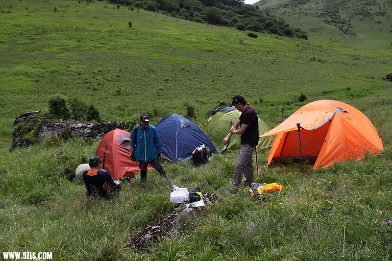 IMG_6353.jpg