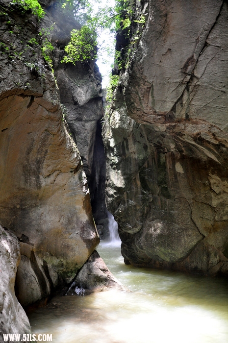 DSC_1523.jpg