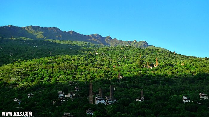 P1080767.jpg