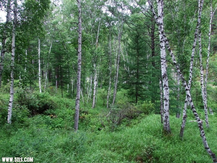 DSCF4760.JPG