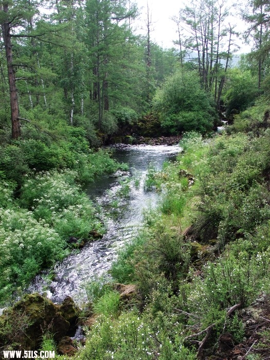 DSCF4811.JPG