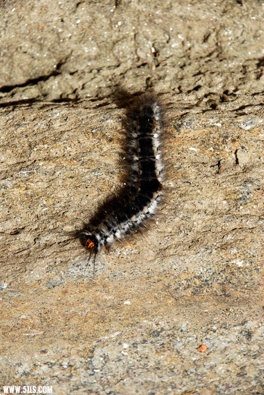 110709-122.jpg
