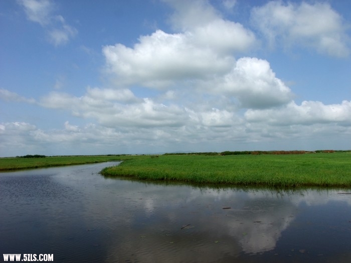 DSCF5493.JPG