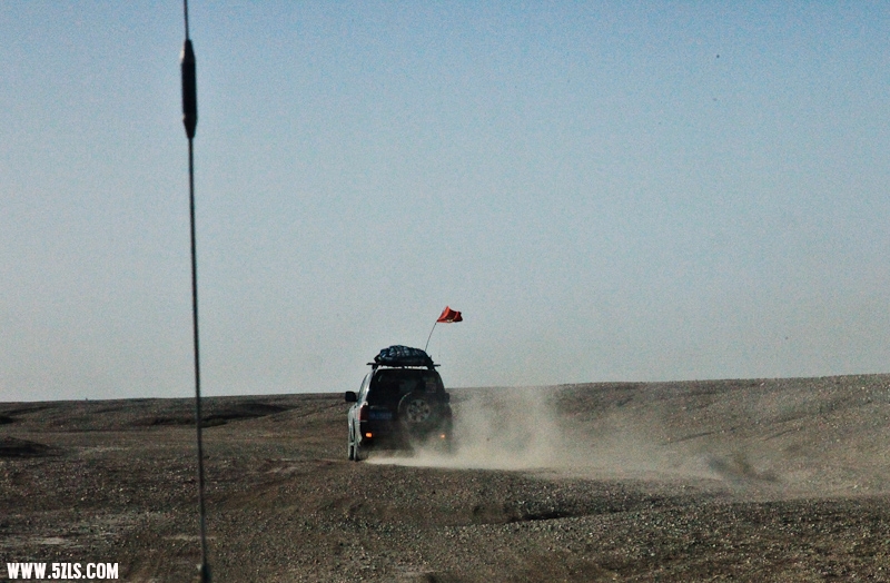 IMG_7699-2.jpg